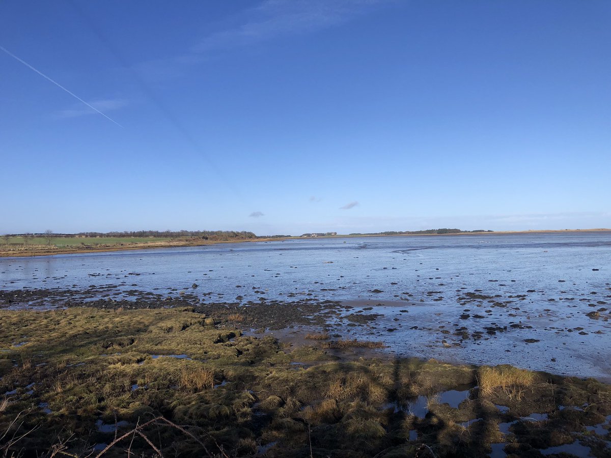 Hannah Earp tweet media