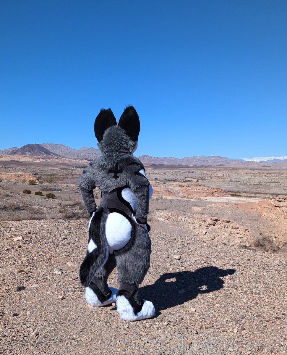 🩵✈️It's Cirrus 🛬💛 tweet media