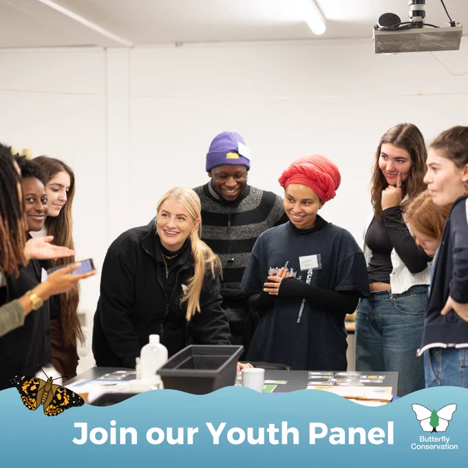 Group of young people stood around a table in discussion. Text reads 'Join our Youth Panel' with Painted Lady butterfly graphic and Butterfly Conservation logo.