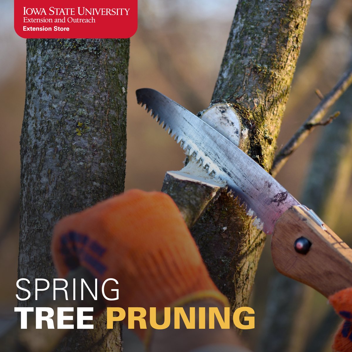 ISU Extension Store tweet media