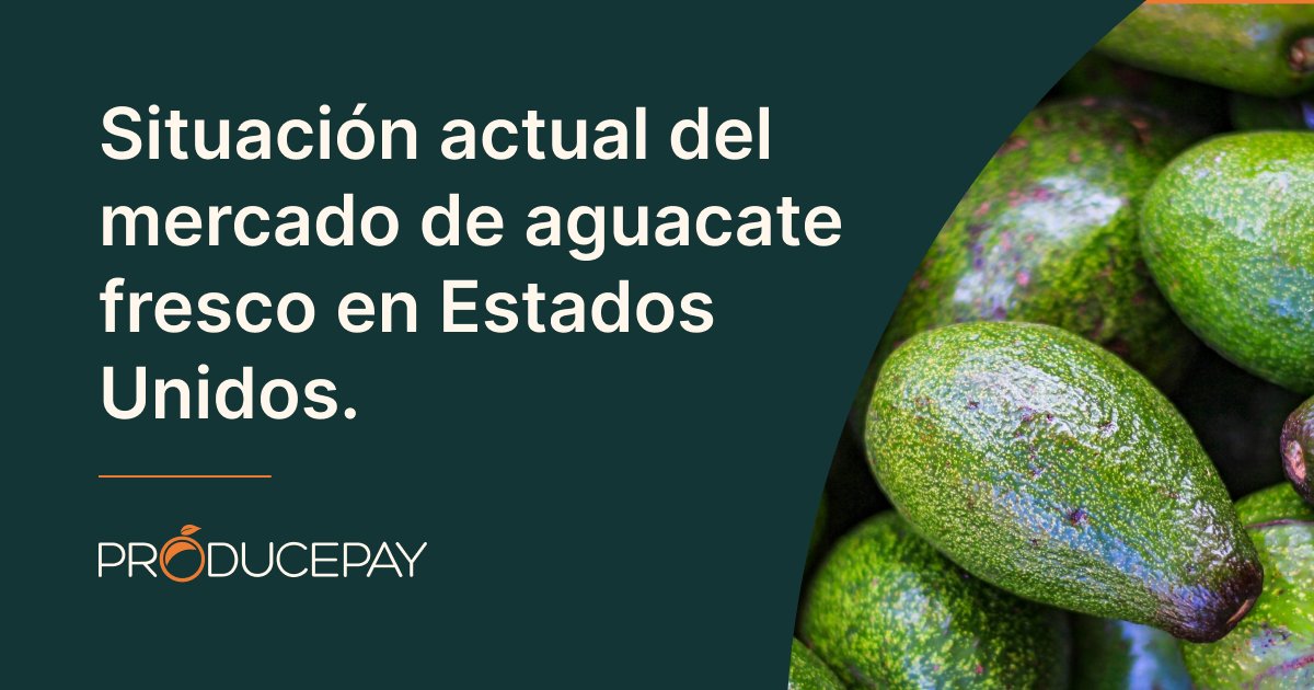 ProducePay_es's tweet photo. 🥑🌾 ¿Enfrentando desafíos en el mercado de aguacates? Desde escasez de agua hasta problemas laborales, nuestro blog te brinda una visión integral de la situación actual y perspectivas futuras. Conoce más: https://t.co/ZivgMfZjn8 #MercadoDeAguacates #DesafíosAgro https://t.co/dGcEZlZNyL