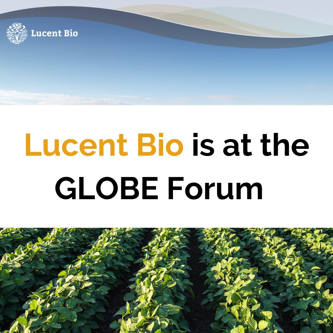 LucentBio's tweet photo. Lucent Bio is at the #GLOBEForum today! Timo is attending and is ready to answer any questions and discuss the future of #SustainableAg! Come find us! Learn more about our Sustainable Solutions https://t.co/zELNPtxsFT #GLOBESeries #SustainableAg #GLOBEForum #GLOBEForum2024 https://t.co/ia5tI9rnSN