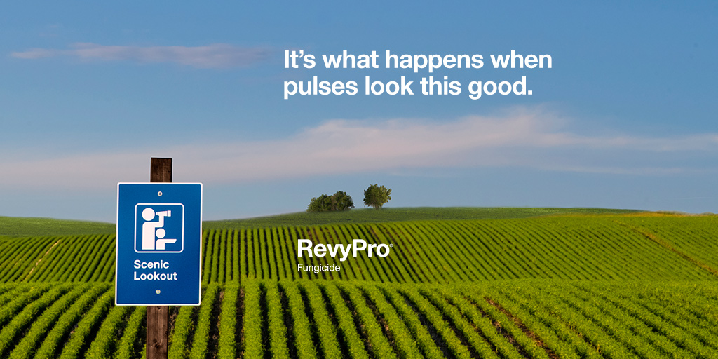 Get revved up for your next pulse crop with new #RevyPro fungicide. With its broad-spectrum, long-lasting control of the toughest diseases, it’ll get you your best-looking field yet—one that is sure to turn heads. Learn more: agsolutions.ca/revypro #WestCdnAg