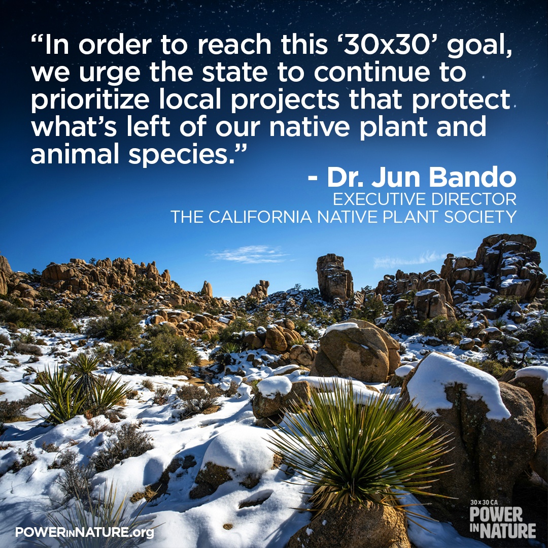 Power in Nature tweet media