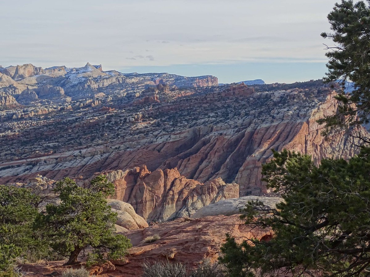 Trail Tuesday! Rim Overlook trail takes visitors over 1,000 feet (305 m) above the trailhead to views of the canyons and tilted rocks below. The broken canyon of Cohab is one of the striking views visitors can take in along this 4.6-mile (7.4 km) roundtrip hike. NPS Photo