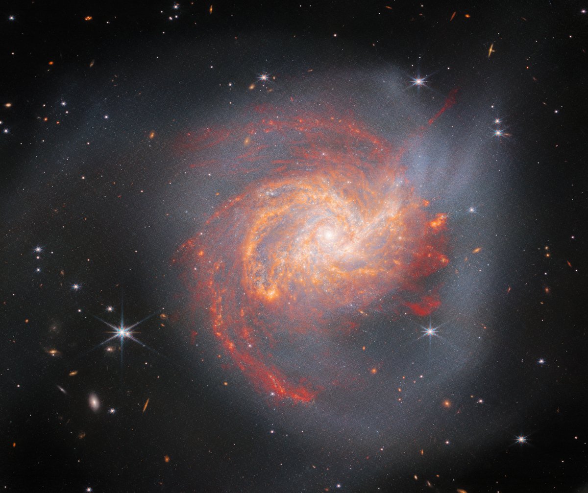 Can I call you rose? 🌹 Ahead of #ValentinesDay, here's a gift for your Valentine in the form of this cosmic 'bloom.' Located 120 million light-years away, NGC 3256 is the result of a 'meet-cute' between two galaxies that collided 500 million years ago: esawebb.org/images/potm230…