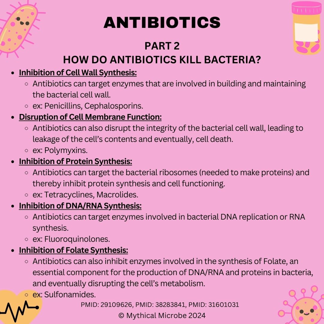 New Series on Antibiotics - Part 2 - Mechanism of Action of Antibiotics
#MythicalMicrobe #ScienceIlluminated #antibiotics #bacteria #cellwall #enzymes #proteinsynthesis #dnareplication #folatesynthesis #science