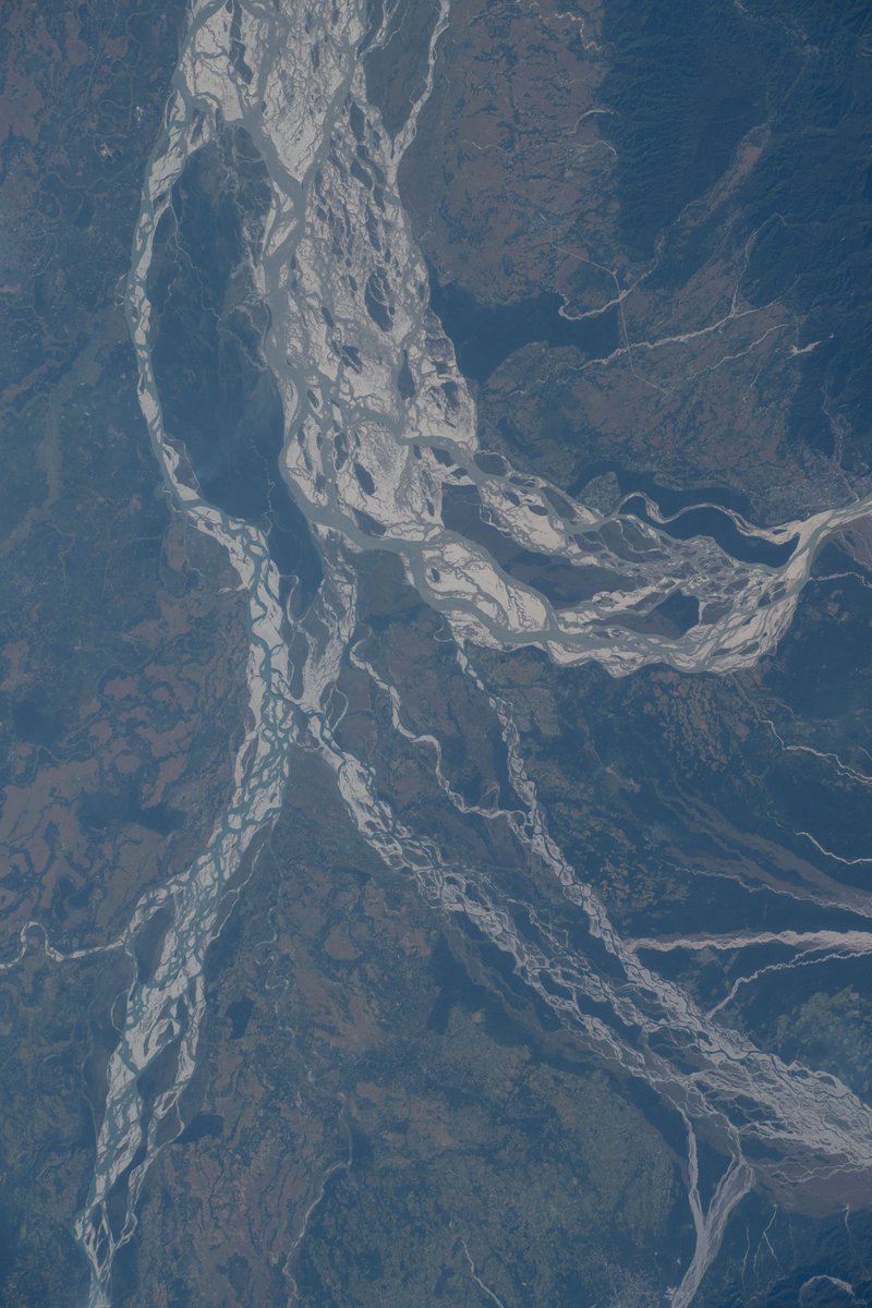 Loral O'Hara tweet media