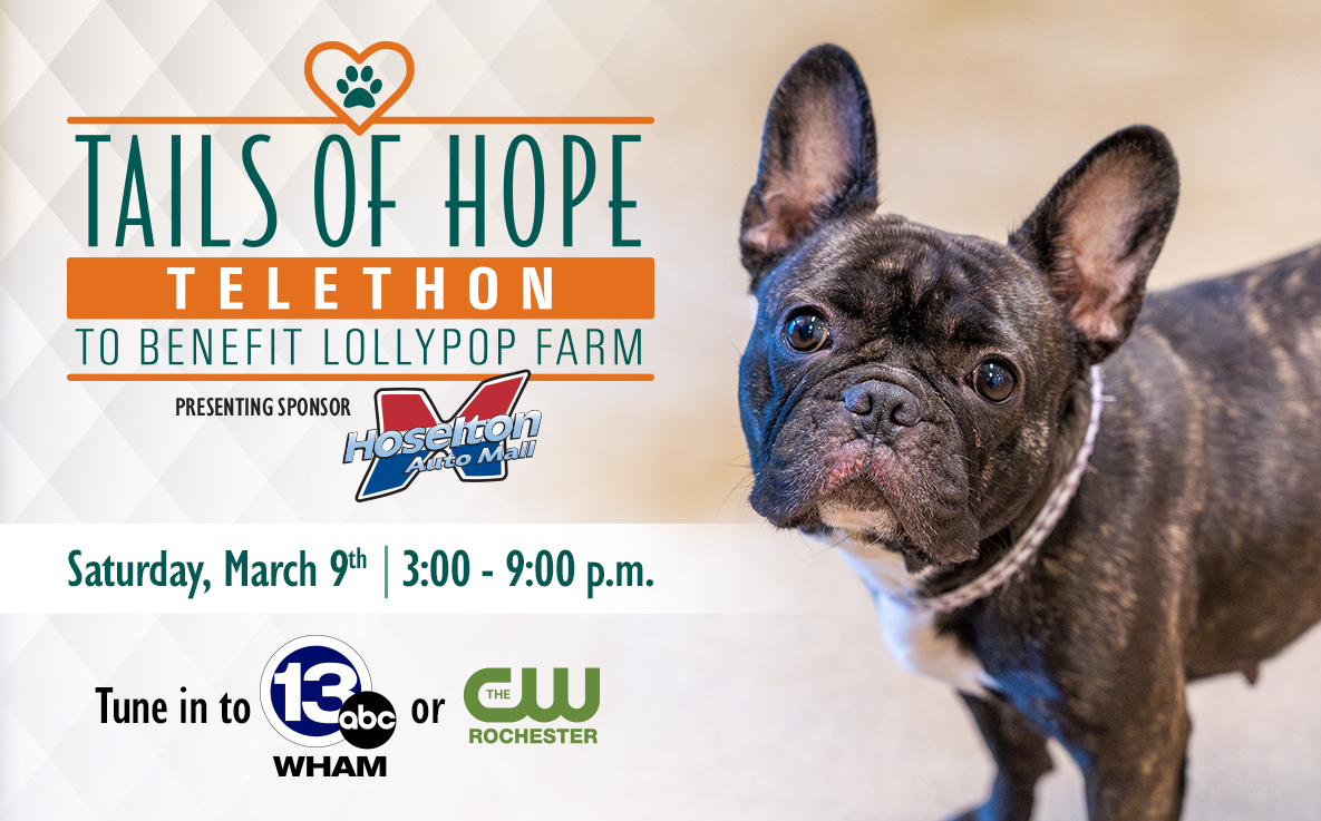 Tails of Hope Telethon to benefit @LollypopFarm is Saturday, March 9th! It's the annual telethon to help raise money for the animals in need in our community. Donate now at lollypop.org #animals #telethon #donate