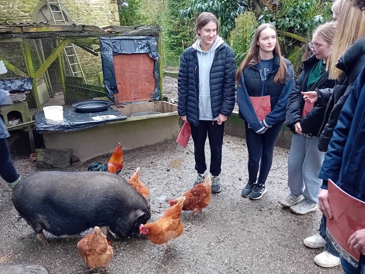 Les élèves ont bien aimé la ferme et tous les animaux. <a href="/Ashlyns_School/">Ashlyns School</a>