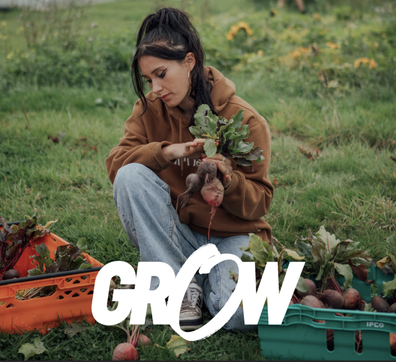 CountryTrust's tweet photo. .@wearegrow___ is looking to expand its board of trustees with individuals with experience in professional food production and farming.

Trustees sought with experience in:
> Nature Friendly Farming
> Food Systems
> Farm Strategy &amp; Vision

🌿https://t.co/pfPY344e8a https://t.co/fYNCoWmqUY