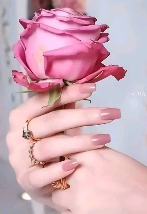 <a href="/aseeltonsi/">أسيل تونسي</a> مثل حظيـ
ربي يسعدك