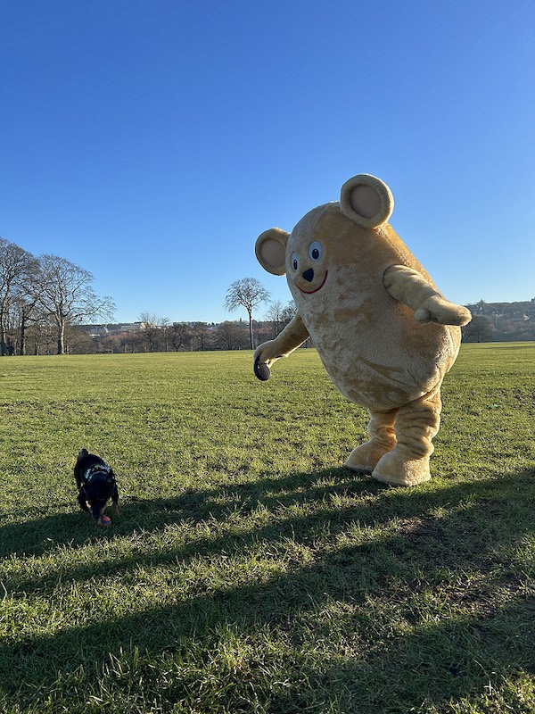 The Archie Foundation Calls for Sign-Ups for its Annual Marathon March thehighlandtimes.com/the-archie-fou… @archiegrampian