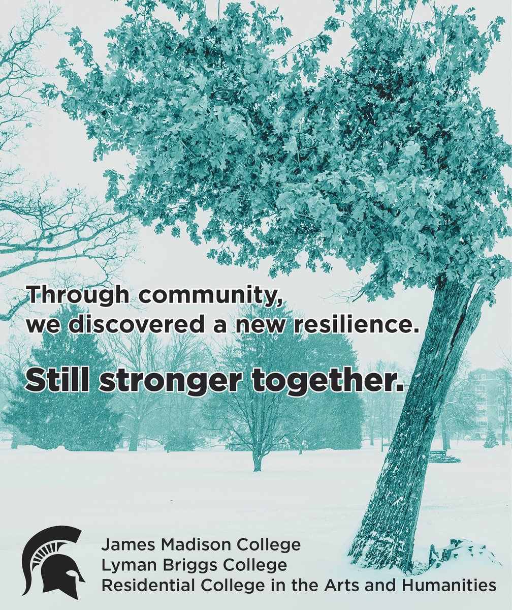 lymanbriggs's tweet photo. Resilience has been a characteristic of Spartans throughout many tumultuous times. The tree featured in this image has provided inspiration and grounding for years. Its nickname is the Resilient Oak. https://t.co/957IxBWnOS 

May even the campus trees provide comfort today. https://t.co/irVS0y0xT3
