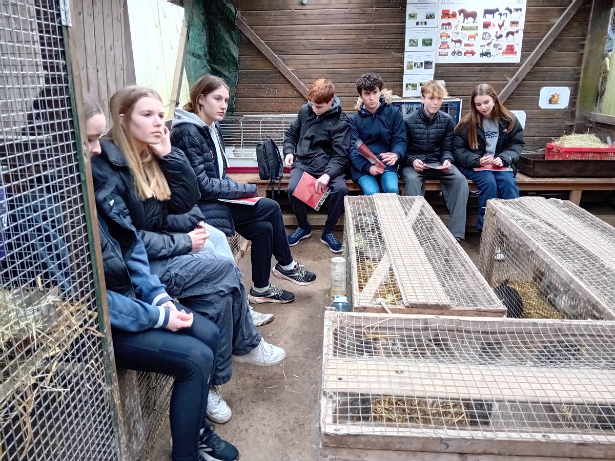 ashlynsmfl's tweet photo. Les lapins de la ferme @Ashlyns_School https://t.co/DaTdBEqkZI