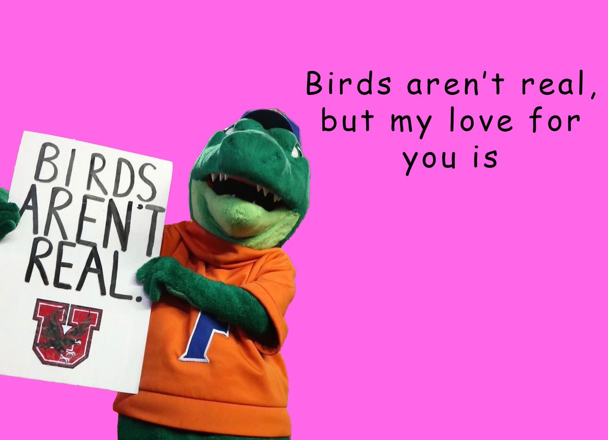 AlbertGator's tweet photo. Valentine’s Day is right around the corner, don’t forget to send one of these cards to your crush 💕🐊 https://t.co/ihXn7dT4h9