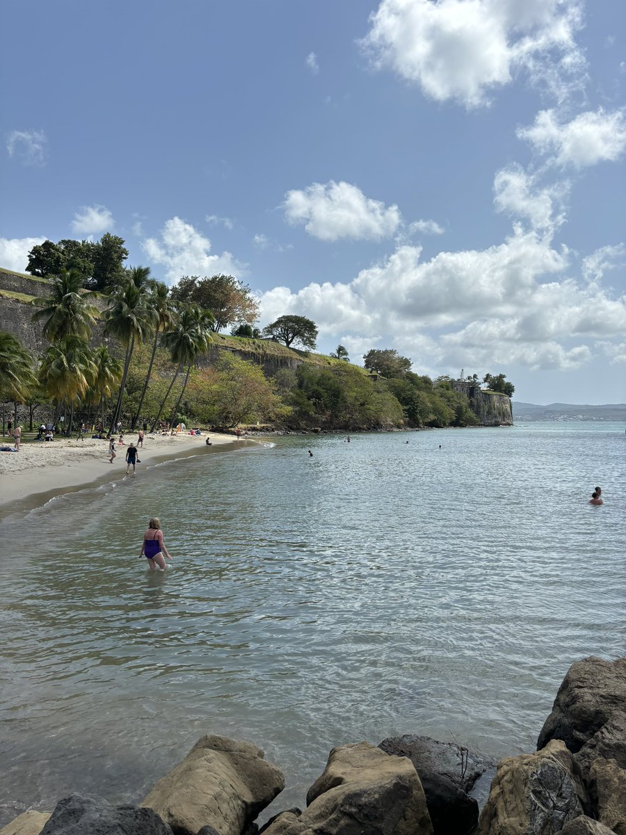 JC Darch' 🔶⚫️ 🇸🇳 tweet media