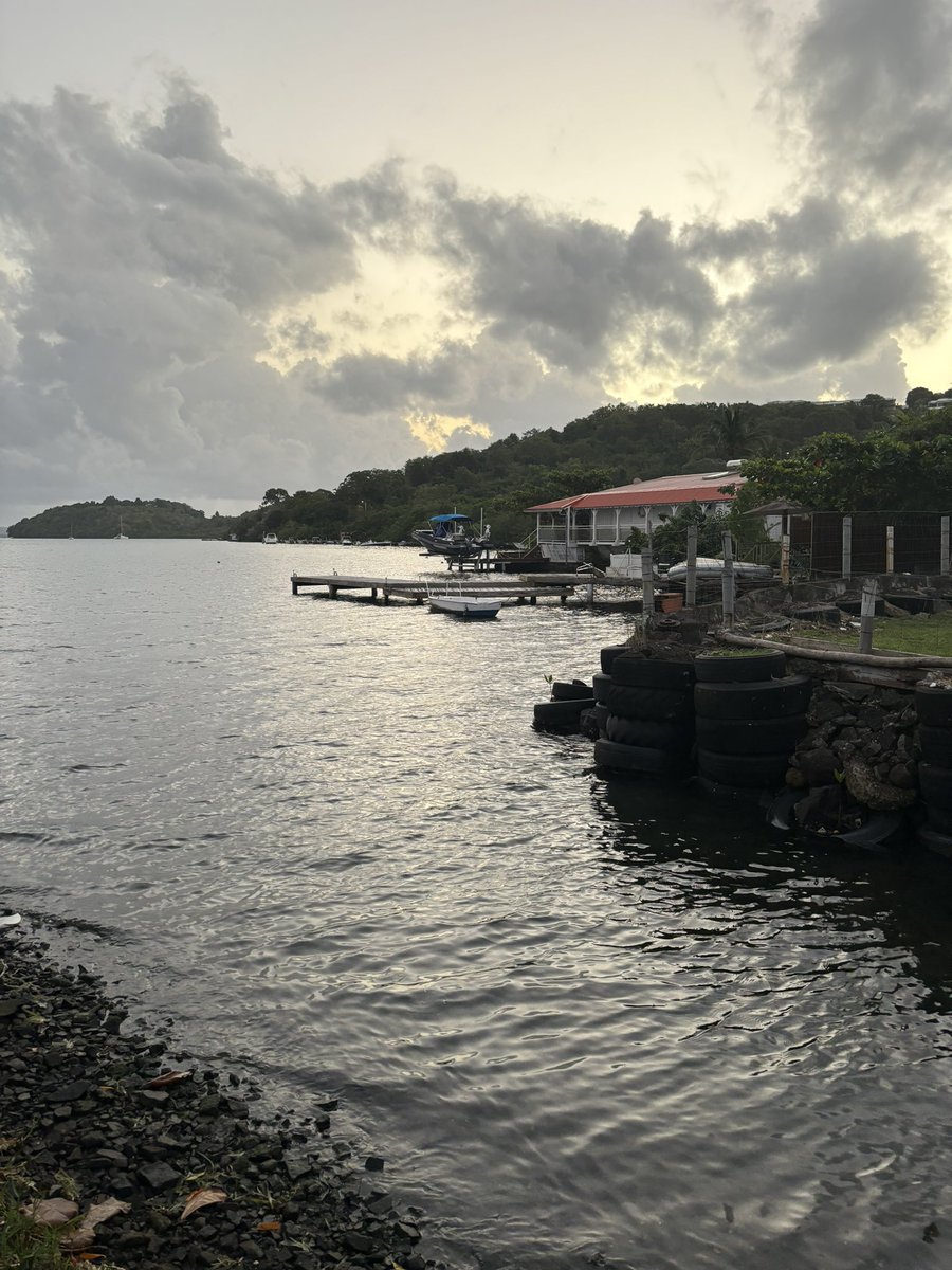 JC Darch' 🔶⚫️ 🇸🇳 tweet media