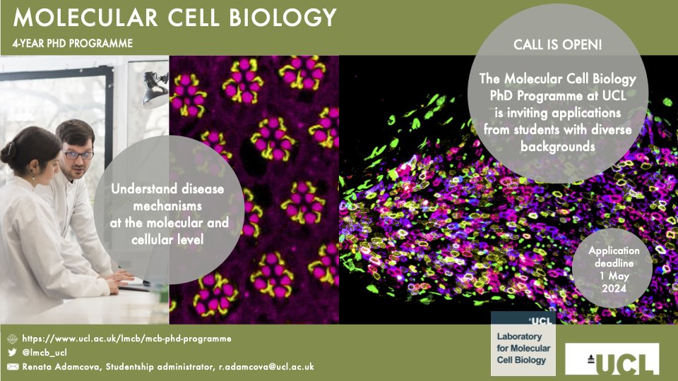 One week left! Apply for the Molecular Cell Biology PhD Programme! More information here: ucl.ac.uk/lmcb/mcb-phd-p… Gain multidisciplinary training in experimental approaches including genetics, imaging and computational biology. Deadline May 1, 2024.