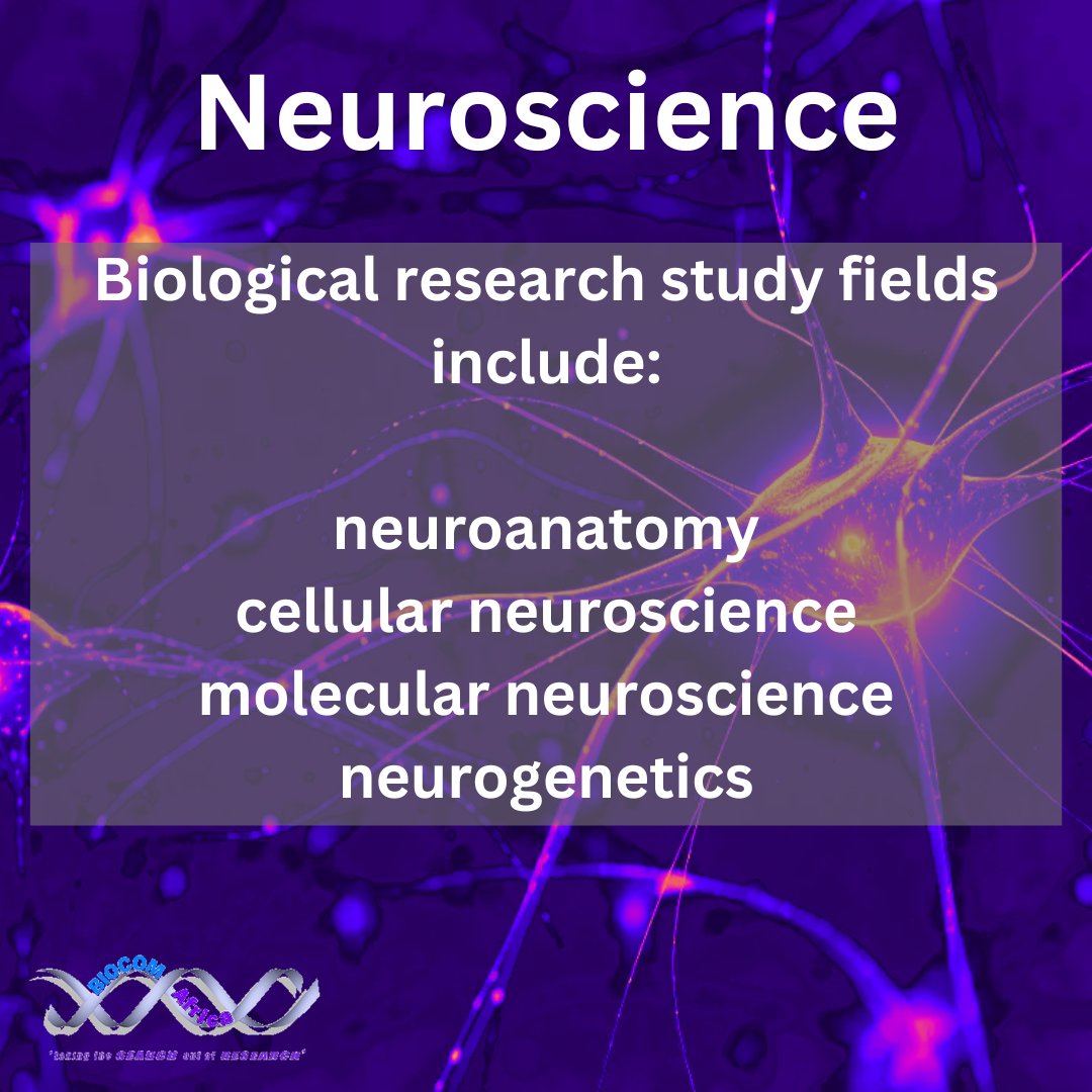 #neuroscience: the study for the nervous system. From #cellurlar and #genetic to #developmental, and everything in between. But finding the specialized applications can be difficult. #WEareBIOCOM do the search for you to make your #research as smooth as possible. Contact us today