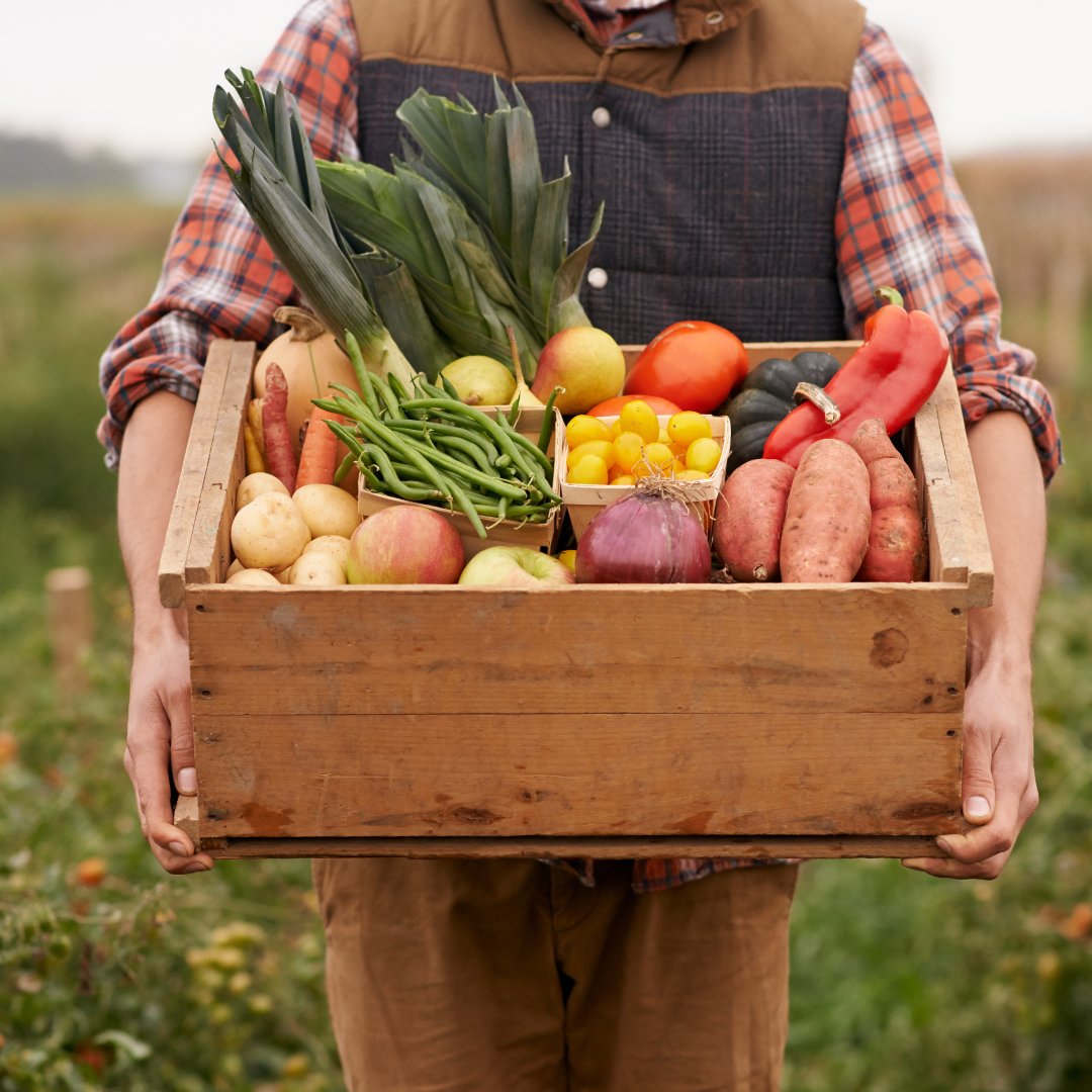 Today is #CanadianAgricultureDay 🇨🇦! There are so many innovative ways #GeneEditing can improve #CdnAg – from the ability to grow more food on less land, to growing stronger and healthier crops. Learn more: naturenurtured.ca