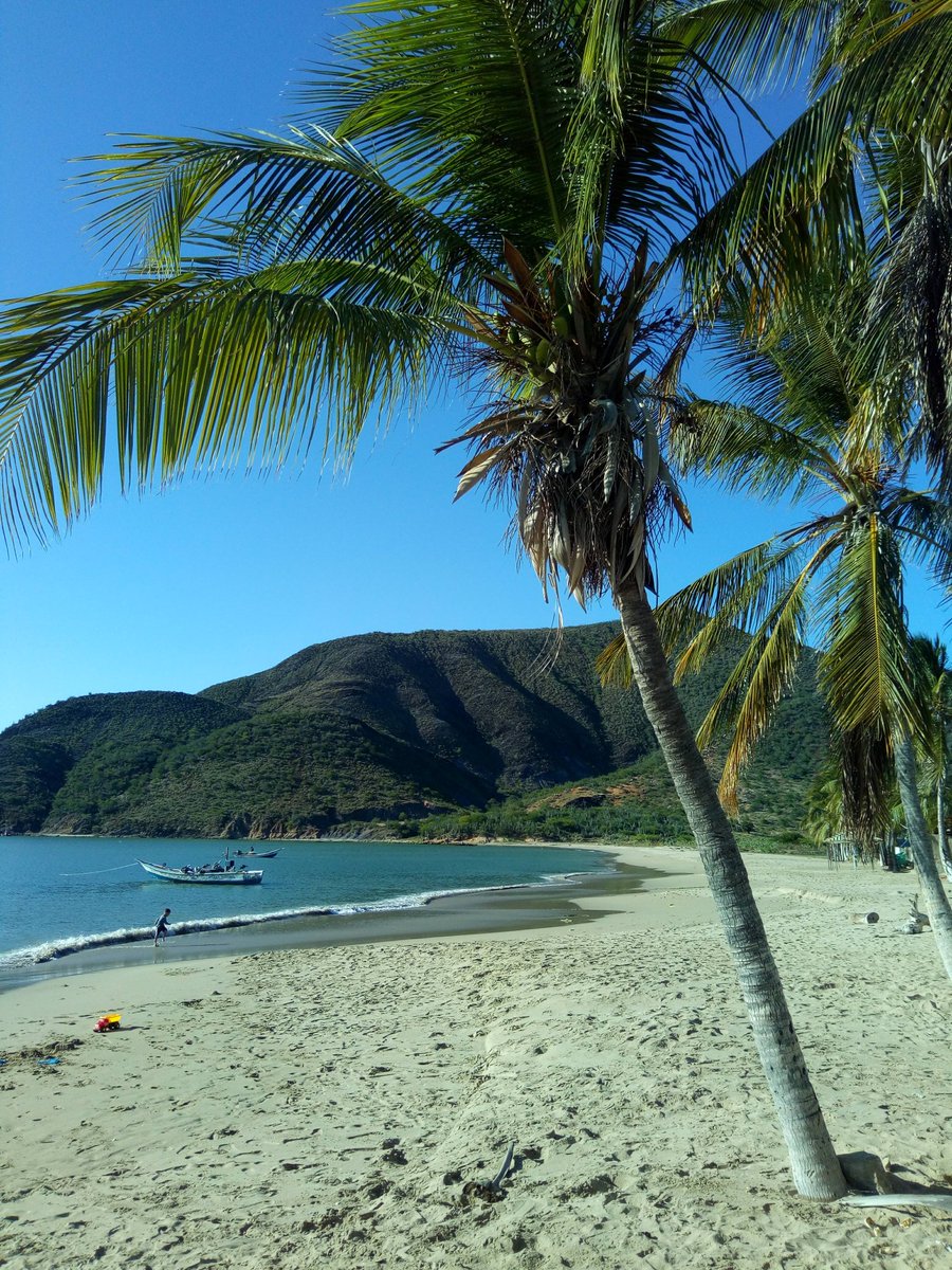 Feliz feliz martes de Carnaval, un día de descanso para muchos 😎, así q espero la pases de lo mejor. Te dejo fotos recuerdo playa La Galera 🌴 isla de Margarita 🇻🇪🌴 y ahora vamos por unos buenos ☕. Saludos