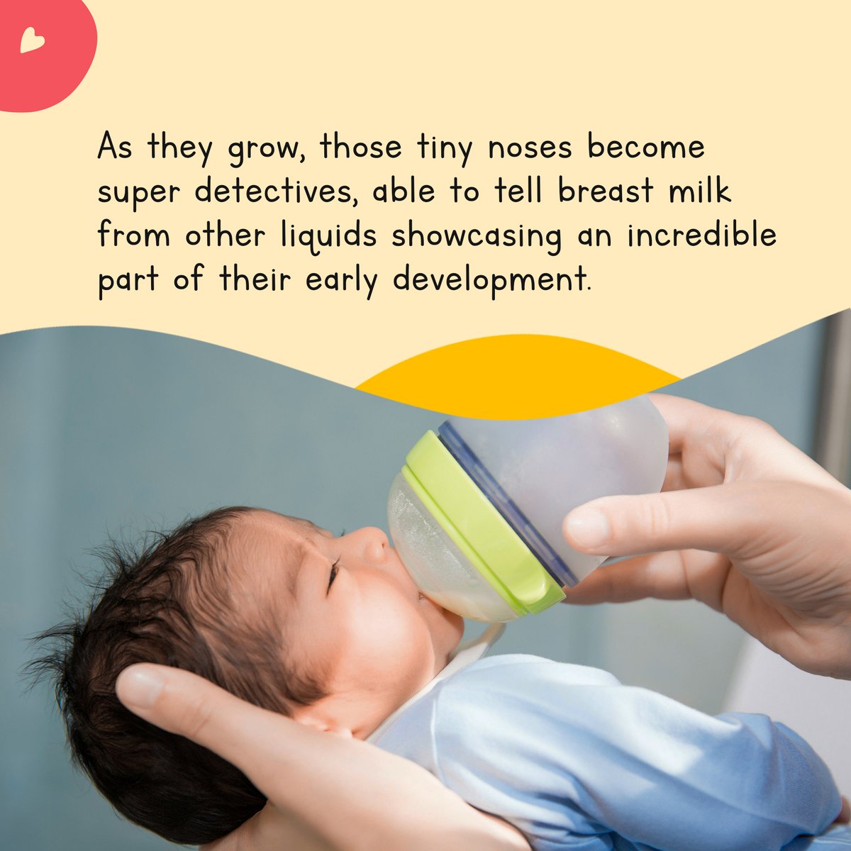 laadleeuae's tweet photo. Have you noticed your baby's scent-driven superpowers?

Share your stories below! 🌟

#Laadlee #LaadleeUAE #LaadleeMom #DeliveringJoy #360care #uaemom #parenthood #didyouknow #nosesmell #babyfacts #sensorydevelopment https://t.co/Ok1rzPrQHd