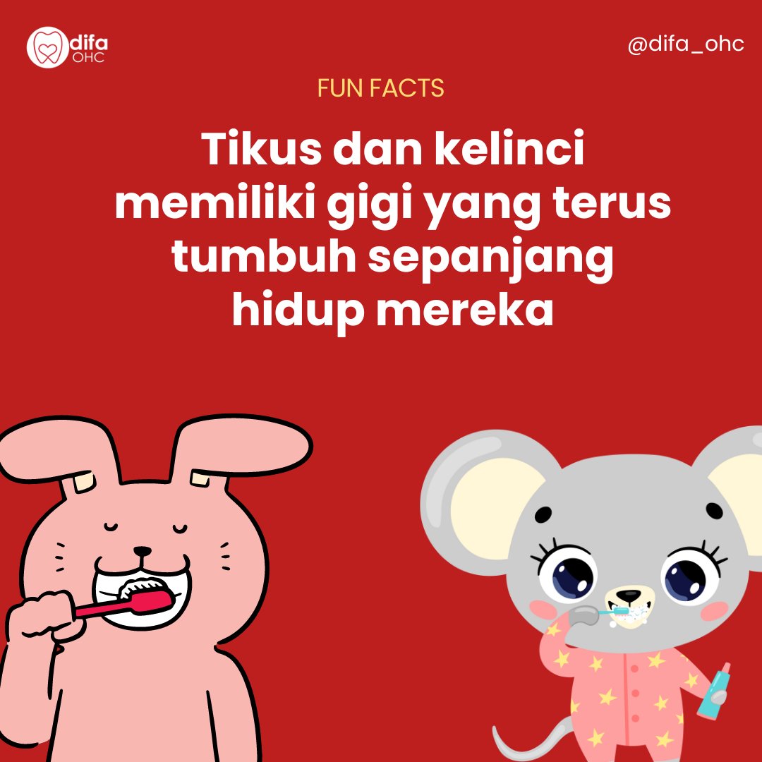 difa_OHC's tweet photo. DidYouKnow: Tikus dan kelinci memiliki gigi yang terus tumbuh sepanjang hidup mereka! Sementara kita harus berhati-hati agar tidak kehilangan gigi,mereka punya cadangan! Menarik, bukan? ��🐰 #GigiUnik #FaktaGigi #KesehatanGigi #doktergigijakarta #klinikgigijakartaselatan #difaohc https://t.co/EMxT2I80Z9