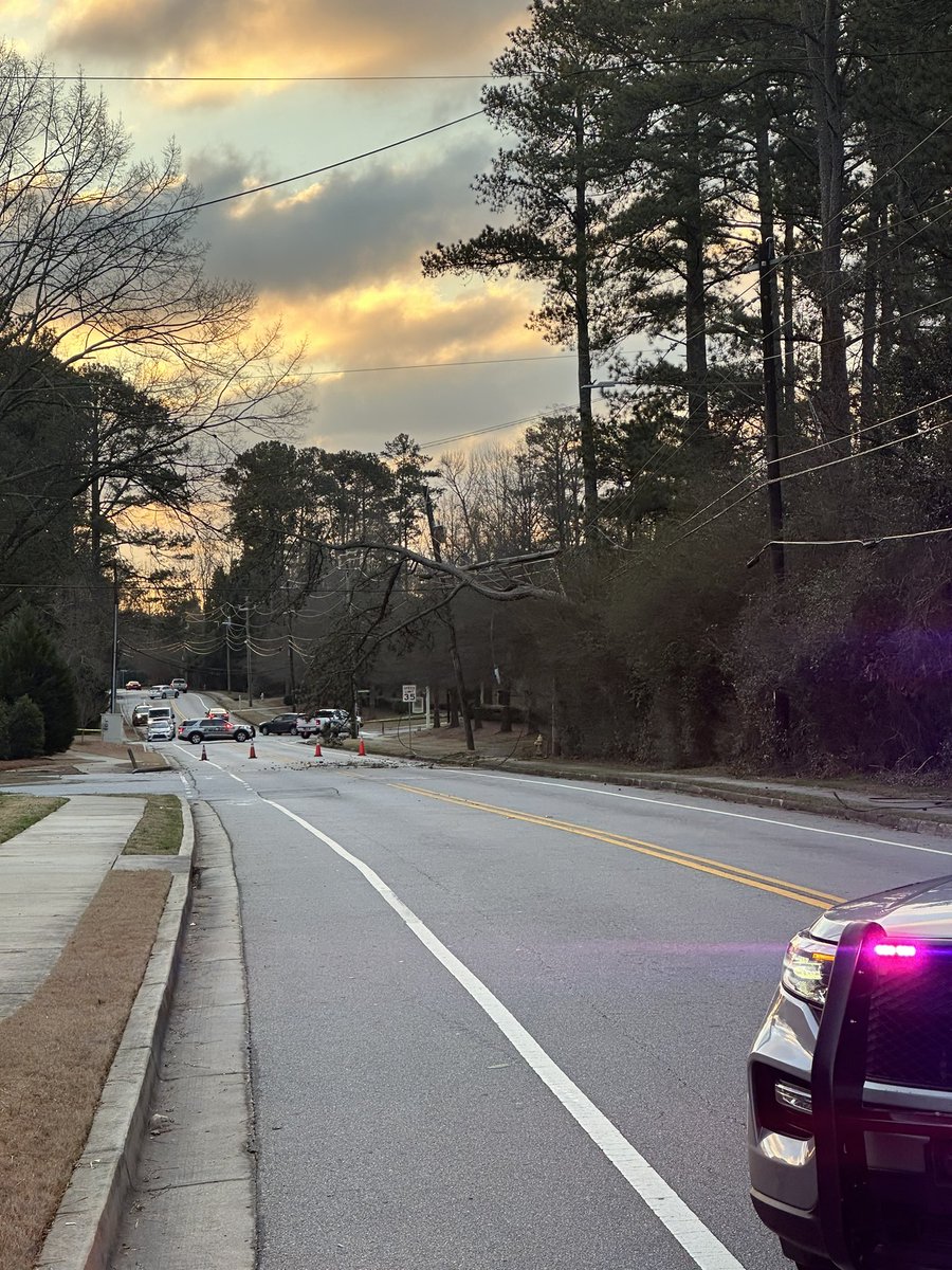 Chamblee Dunwoody Road is shut down between Holly Oak Place and Boxwood Place due to a tree bringing down power lines. There is no current ETA