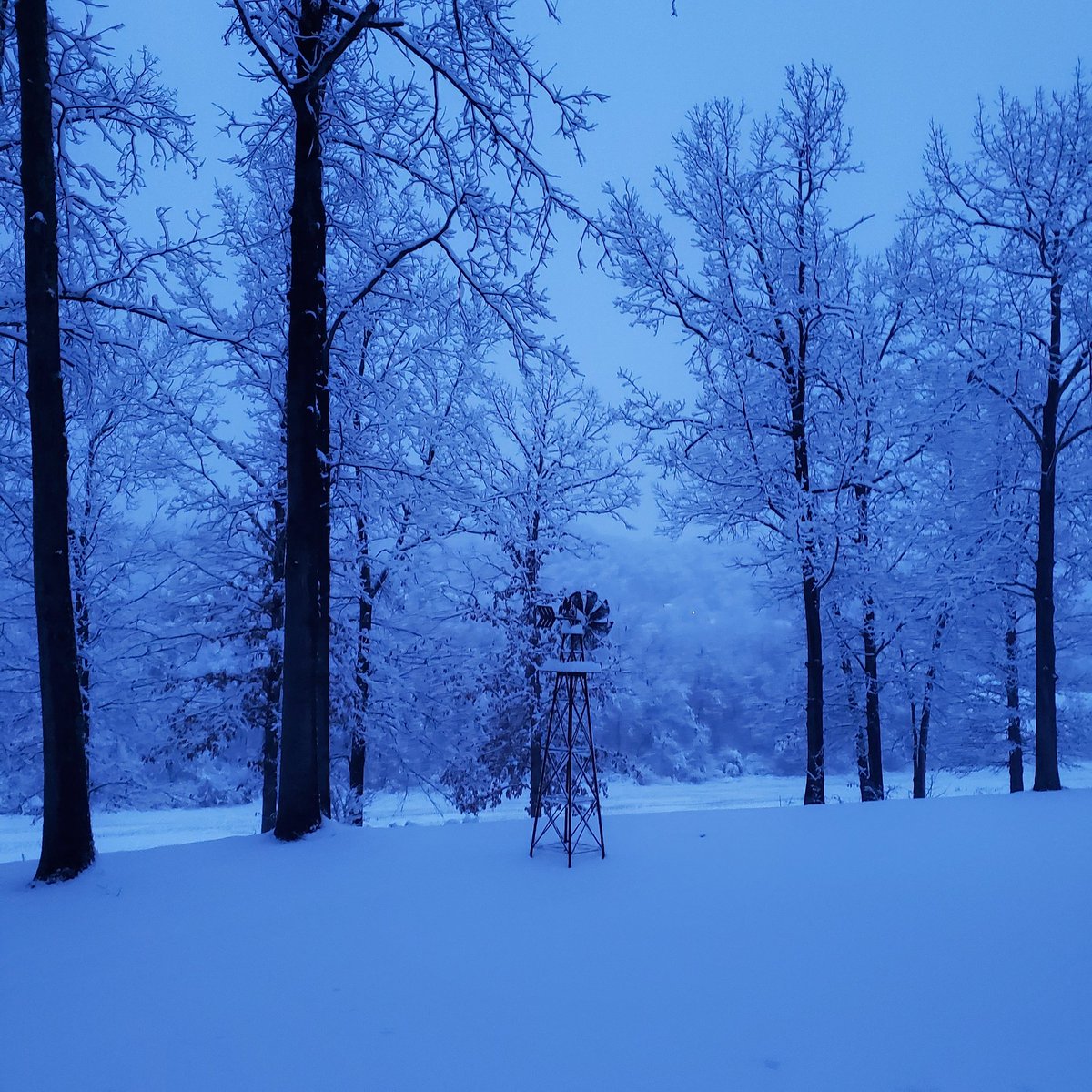 Good morning ☕☕ 📸 blue hue 💙