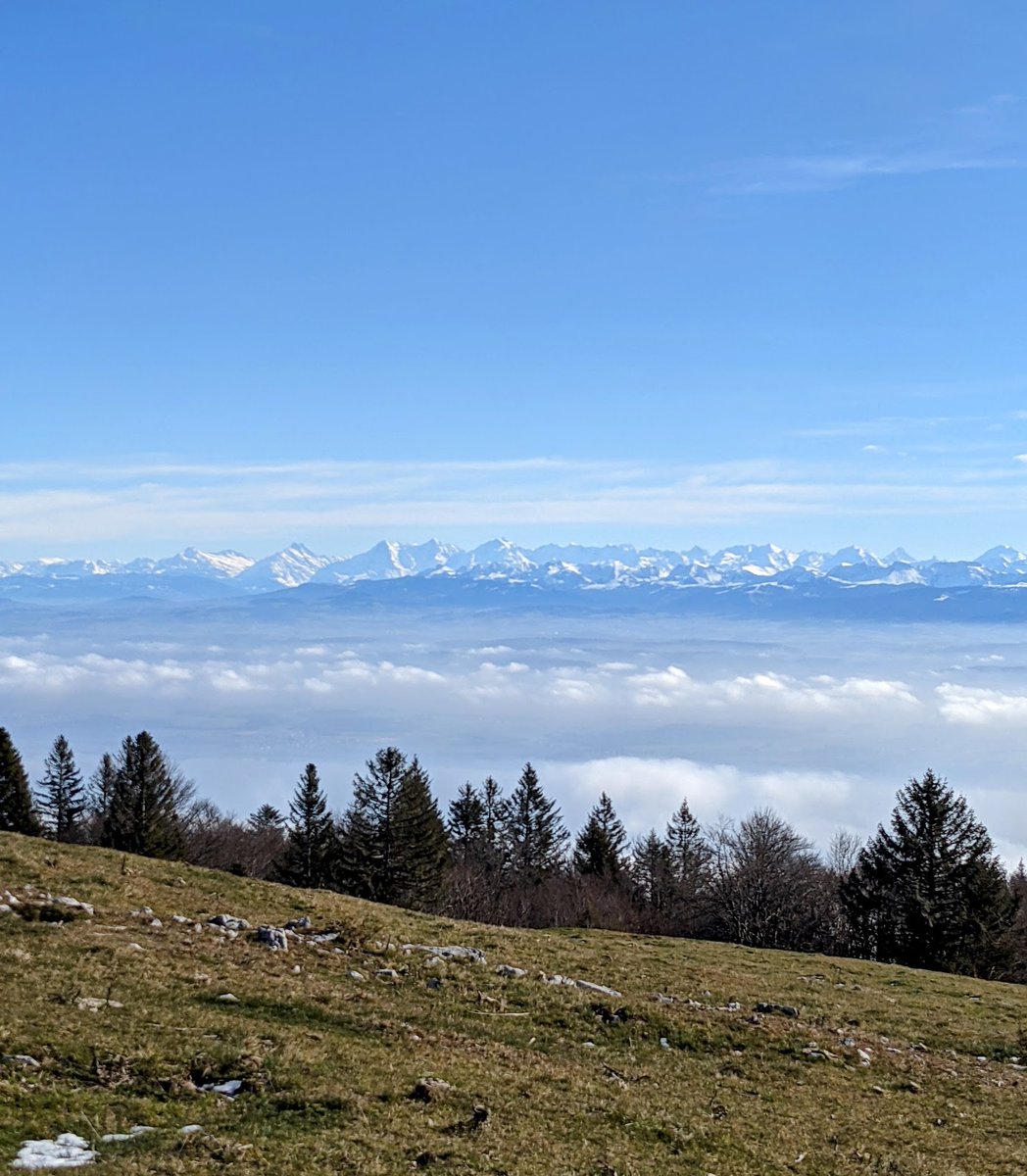 stackhodler's tweet image. The Great Accumulation has begun.

Forget everything you think you know about #Bitcoin price action.

We've never seen a finite asset meet a wall of constant demand.

Trillions in capital. Sitting on the buy button from market open, to market close.

9 ETFs competing.

BlackRock…