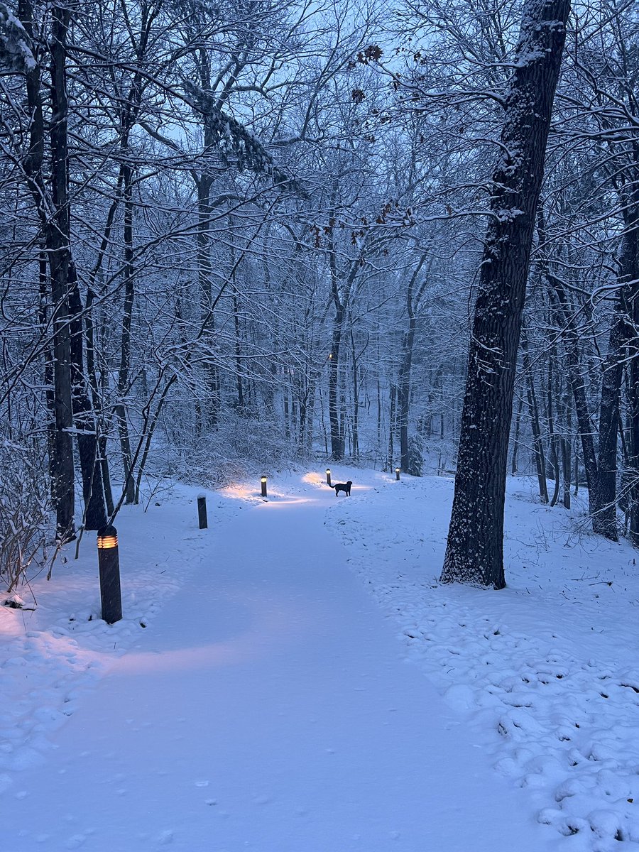 A snowy morning on Williams Hill.