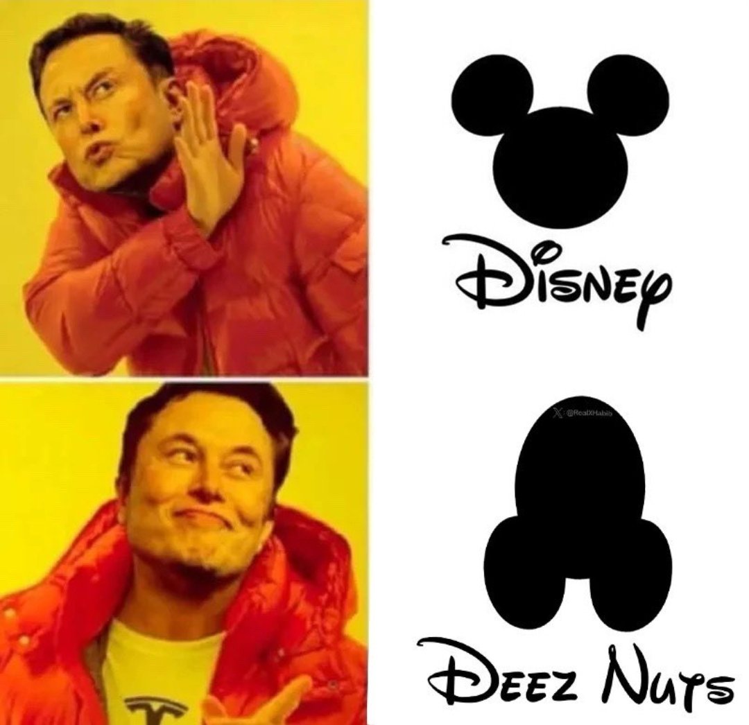 @ANIMEL0VER94 Gm time to send @DeezNutsErc20
#DeezNuts  

Cannot miss when <a href="/elonmusk/">Elon Musk</a> tweet and pinned this

Your chance to get an early gem lets go