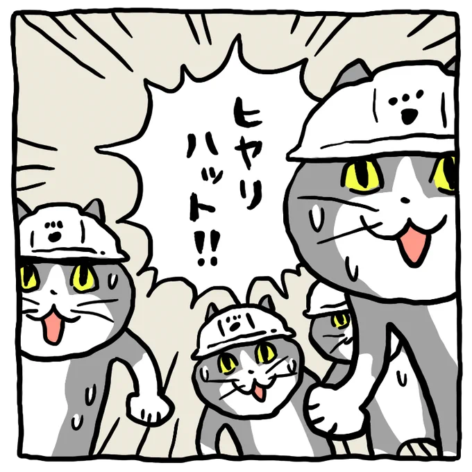 はじめて知ったかのようなリアクションをする猫達 