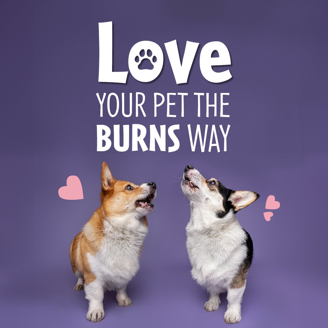 💕 Love your pet the Burns way this Valentine's! Enjoy 30% off your pet's favourite on selected lines, whilst stocks last. Use code TASTY30 at checkout. burnspet.co.uk