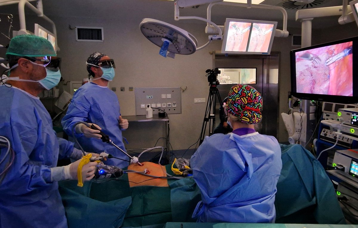 Human Xtensions tweet media