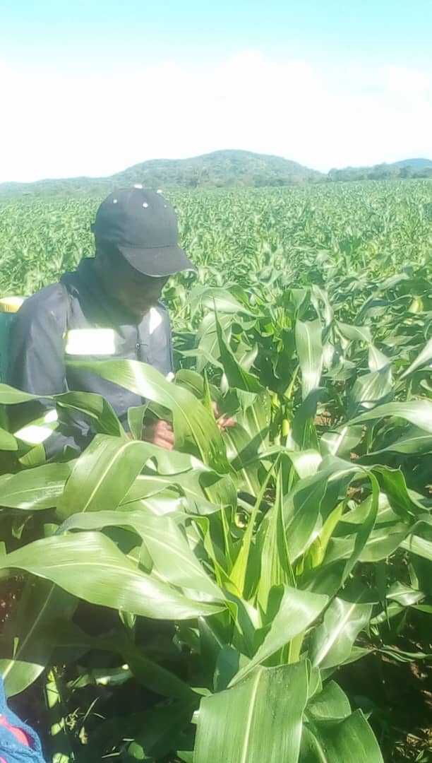 I am a young Xhosa man who was born in Bulawayo and raised in Mbembesi, Zimbabwe. I became a proud landowner at the age of 23 without any connections, and I am currently working on growing soya beans and maize.