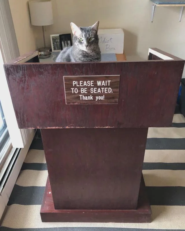 the host with the most