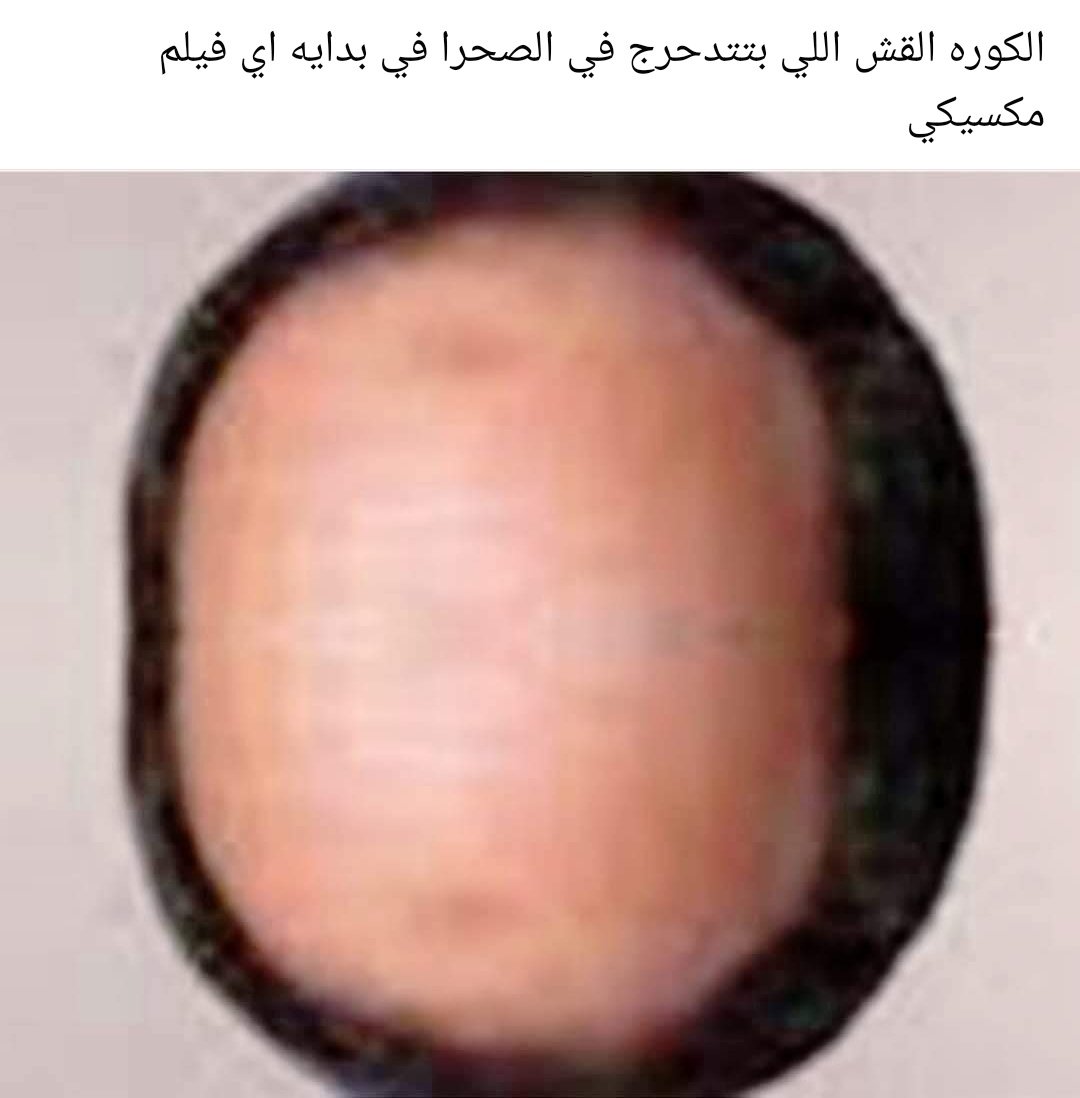 ابو ليلى (@s3dowskkkii) on Twitter photo 
