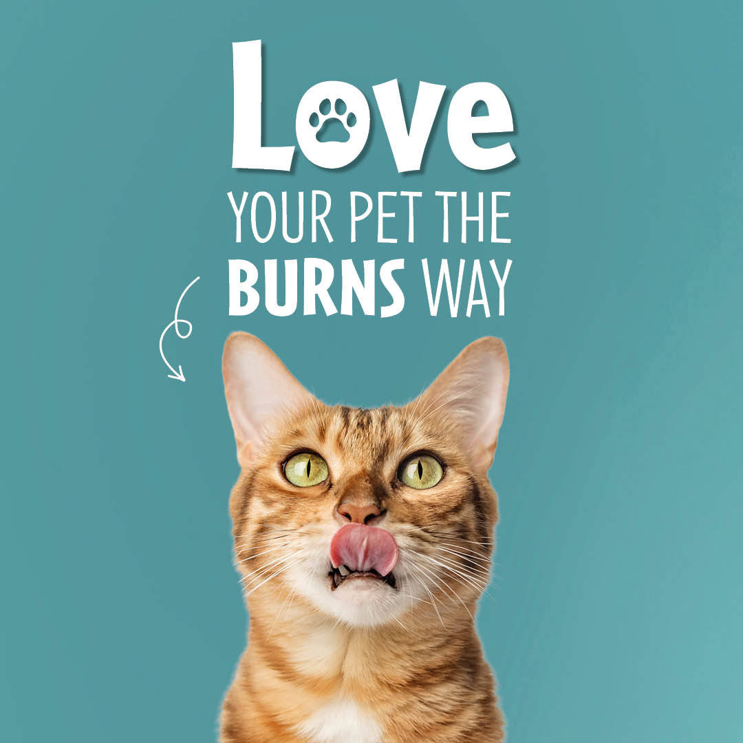 💕 Love your pet day. Whether you need to satisfy a fussy feline or a hungry hound, we've got you covered! 30% off your pet's favourite on selected lines - whilst stocks last. Use code TASTY30 at checkout. burnspet.co.uk/dog-food/?rang…