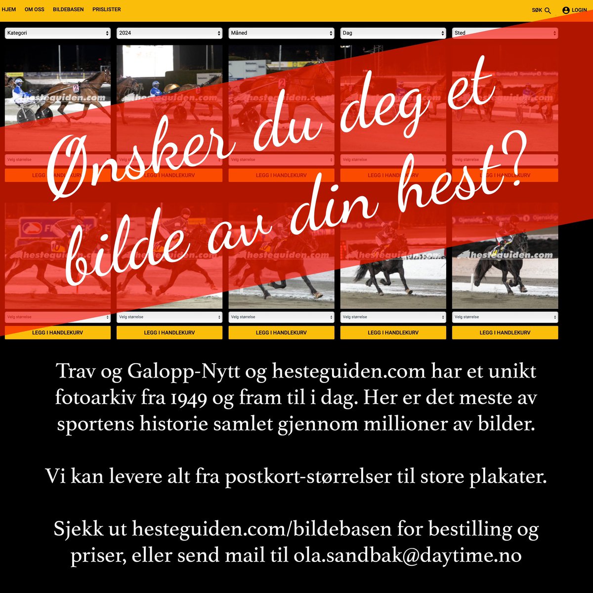 Trav og Galopp-Nytt (@tgn_no) on Twitter photo 