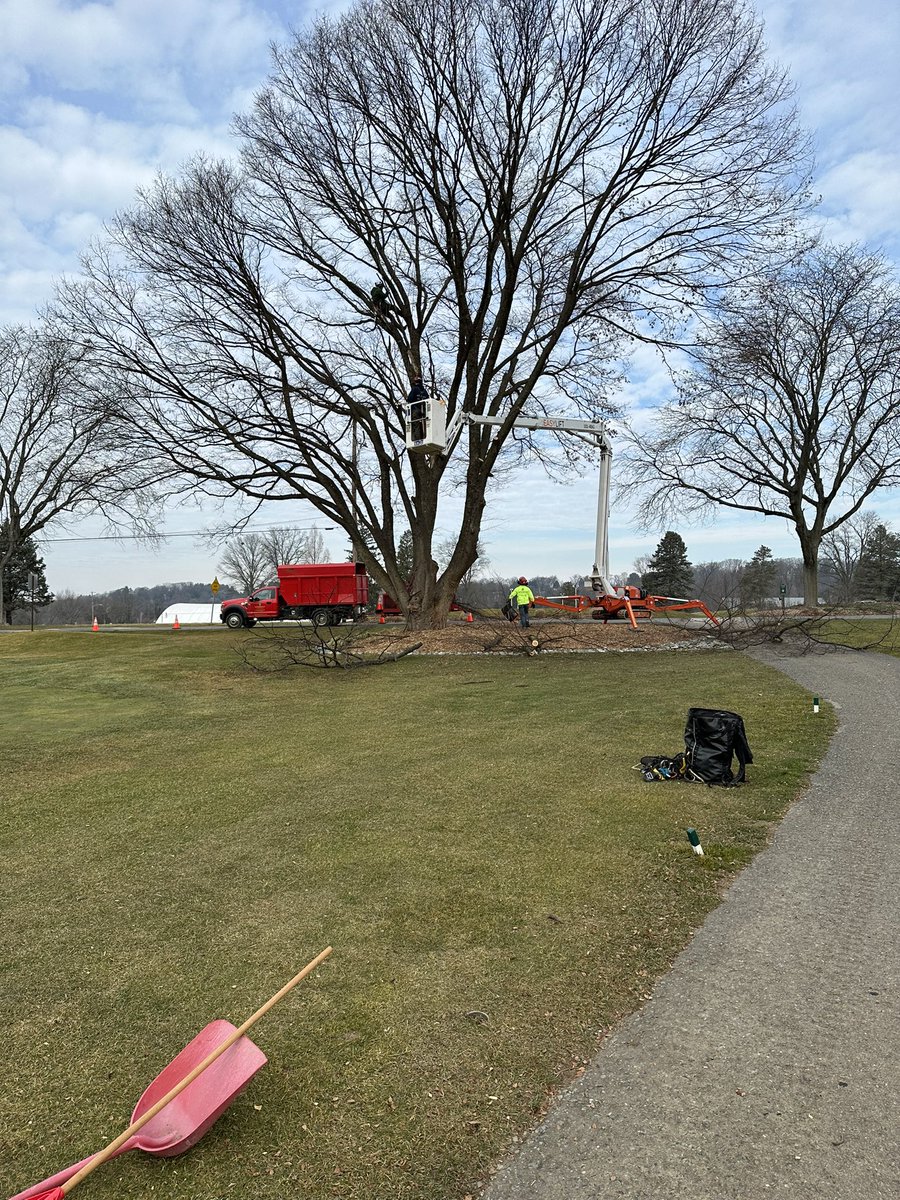 OGCgrounds's tweet image. 60 degrees and a packed tee sheet a few days ago, 4” and counting this morning. The Zelcova behind 5 green got a haircut just in time (pictures are 16 hours apart). @Gmanos86 @ManheimTwp