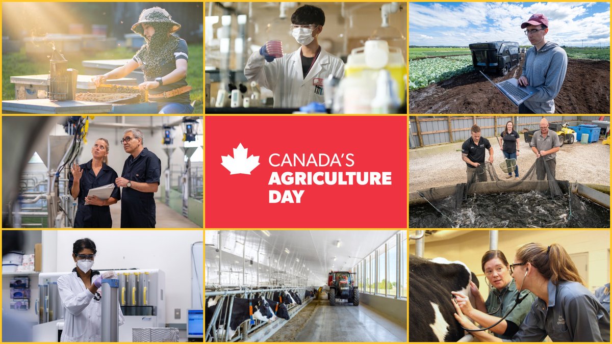 AgInnovationON's tweet photo. Today is #CdnAgDay! Thank you to all the extraordinary people helping grow Ontario’s agri-food sector! From researchers, technicians, and students to lab and vet services and everyone in between, the Alliance is proud to support your work to improve life 🎉 @uofg @OMAFRA https://t.co/USA4N1btTZ