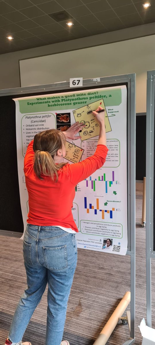MariePetersdorf's tweet photo. Getting ready to present my poster this evening at the #NAEM2024 under the poster number 67, pop by and learn about the diet preferences of Platynothrus peltifer! 🕷️🍽️ 
#NERN #NWO https://t.co/vSowP9KEN4