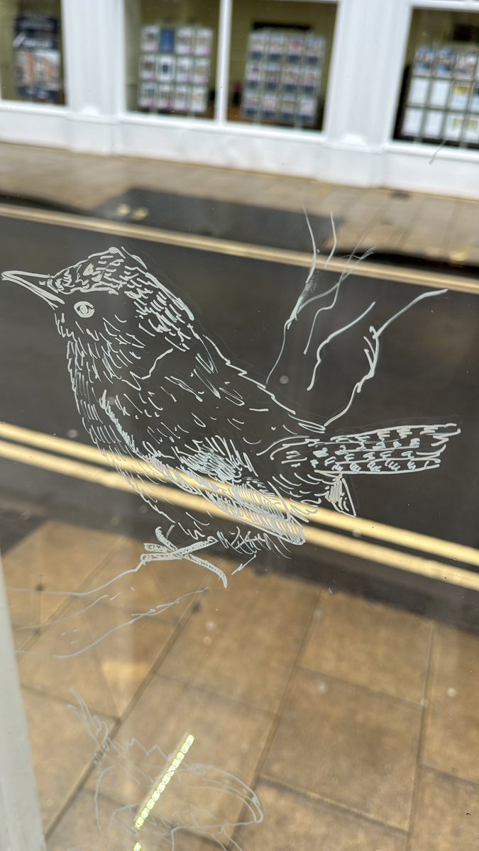 BRillustrations's tweet photo. I’m at it again, furiously scribbling on windows for @ladybirdbooks this time at the fantastic @MostlyReading in Abingdon who now also stock my cards as well as books

So, if you’ve got a shop &amp; want your windows covering in glorious flora &amp; fauna bookings are open

#illustration https://t.co/ze6hZsI9UY