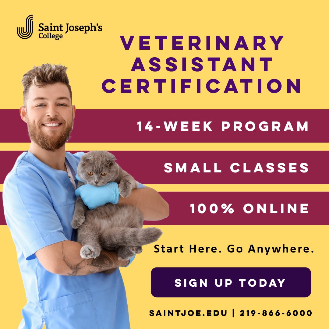 SaintJoeEdu's tweet photo. Make a pawsitive impact!
🐕100% Online Certified Veterinary Assistant program
📆 Starts February 26, 2024
⏰ Meets M/T @ 5:30-8:30pm CST
💰 $2,200 Tuition + Registration
✨ Scholarships Available
https://t.co/YBYrXF6cie
#SaintJoseph #StartHereGoAnywhere #VetAssistant https://t.co/W7xrACkqQm