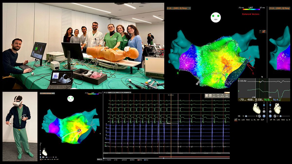 Maria Lucia Narducci MD, PhD, FESC tweet media