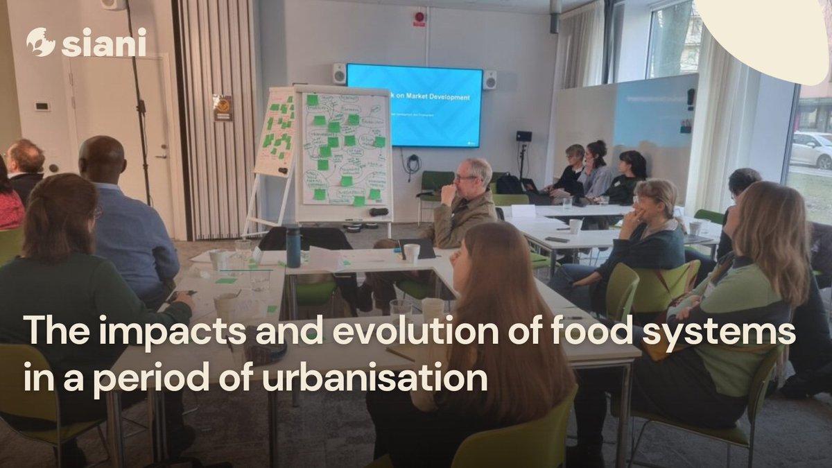 NEWS STORY ⎮

Dive into the insights from the SIANI annual meeting 2024 where experts converged to explore sustainable solutions for the challenges posed by rapid urbanisation on #FoodSystems
Finding innovative solutions for a resilient future #Collab4FS

bit.ly/3HUh321