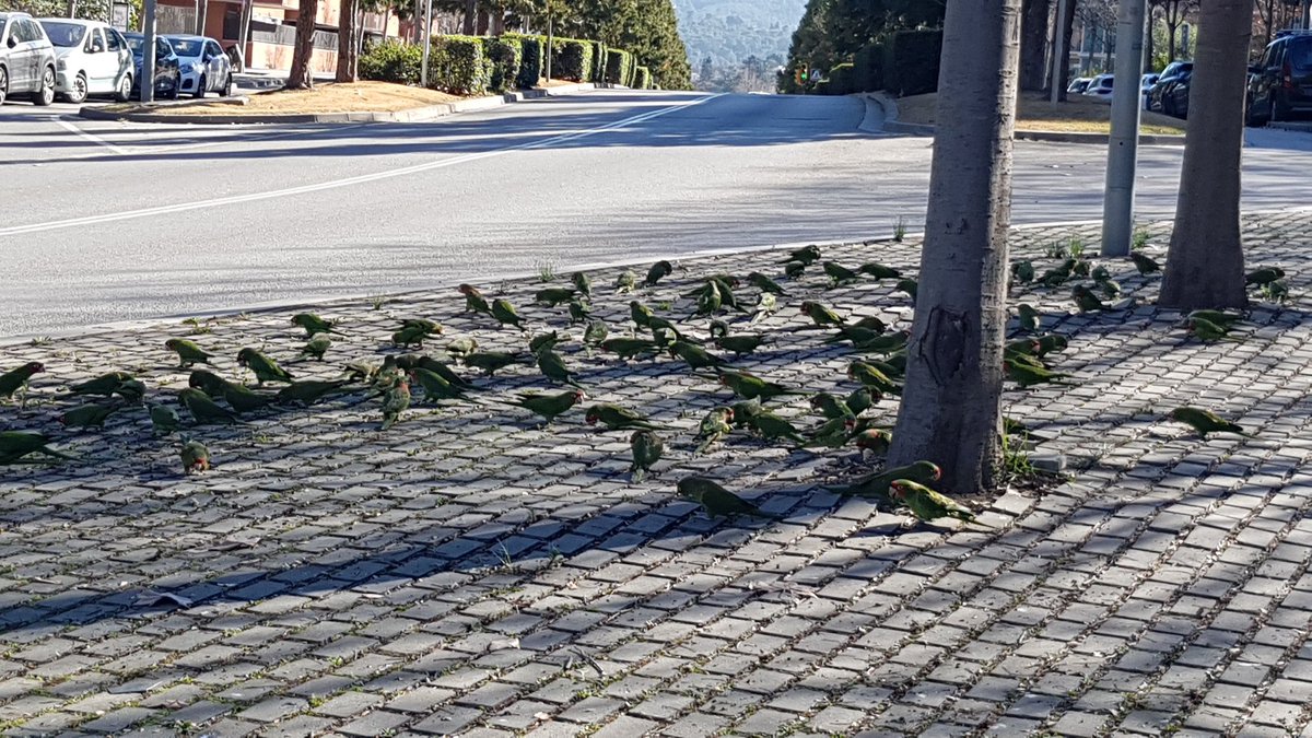 Oscar Hernández tweet media