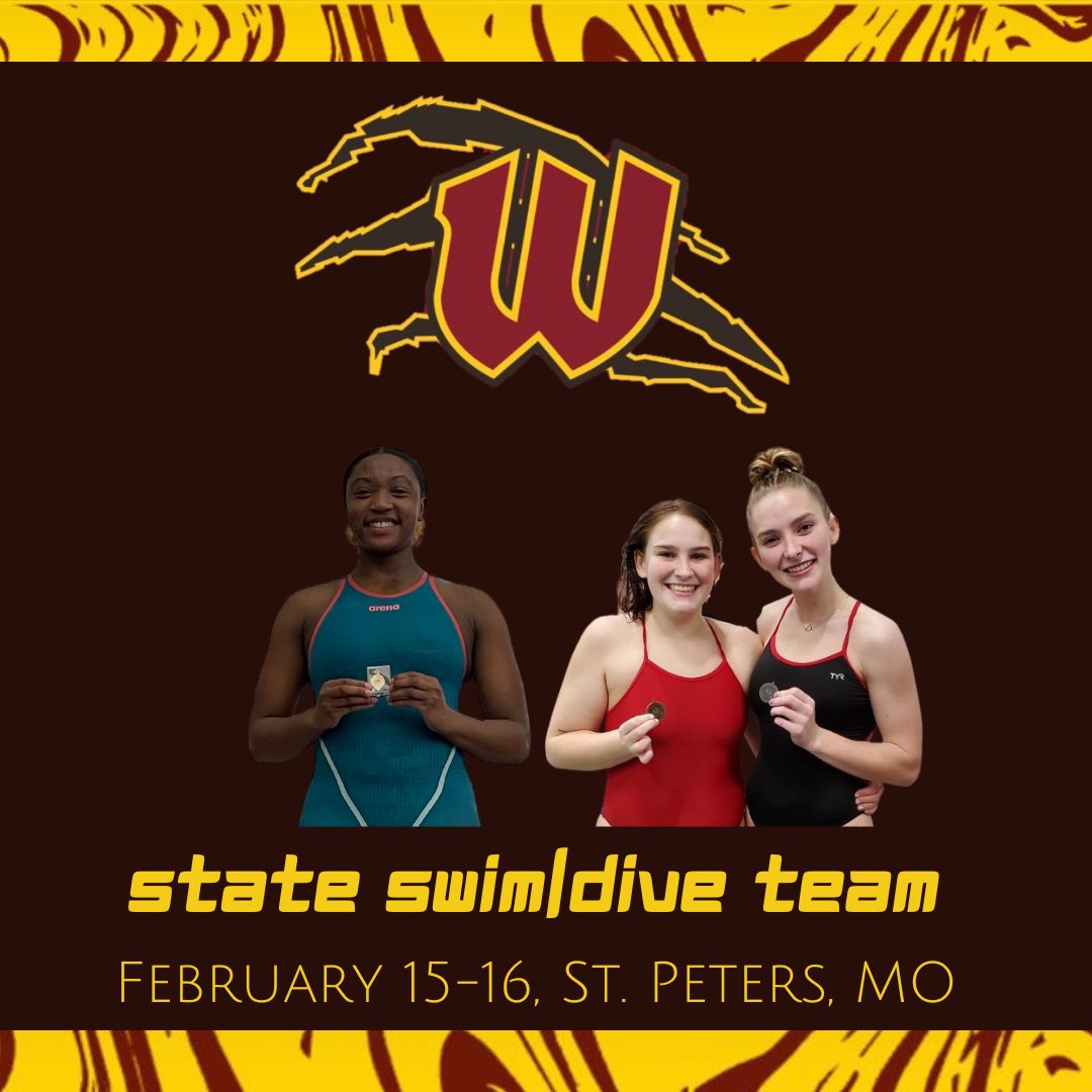 TonkaSwimDive's tweet photo. It’s state Swim & Dive week! Wish our ladies luck as they represent us at State! Let’s go Sania, Caylen, & Ava!! #WeAreTonka #StateTeam https://t.co/QNs2DfENlQ